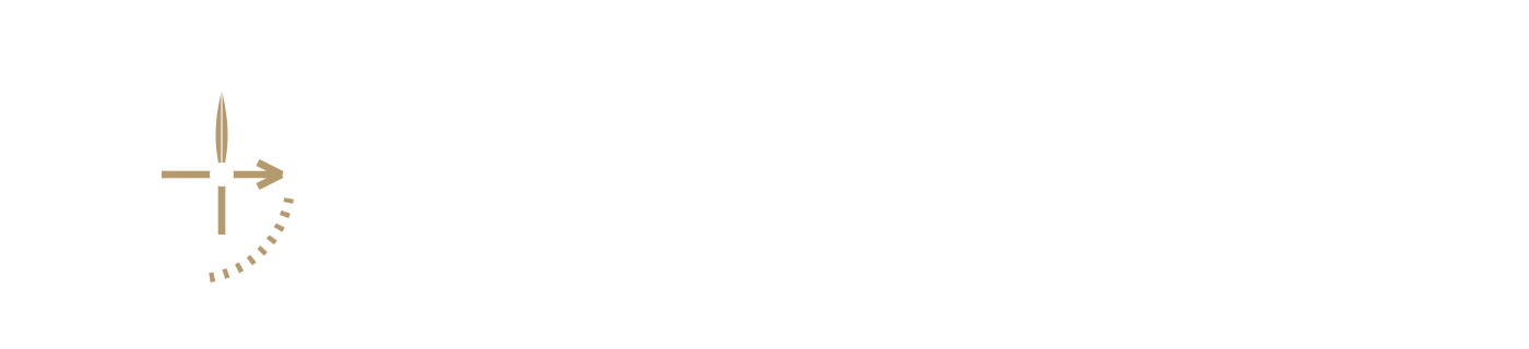IBEDIS Logo